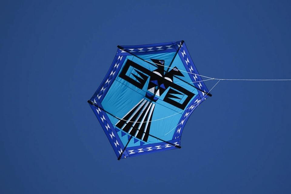 Eagle of Paradox von Premier Kites. Rokkaku im Design von Reza Ragheb.