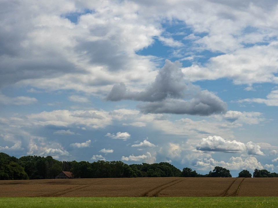 Schon leicht abendlich. Olympus RAW in Lightroom entwickelt.