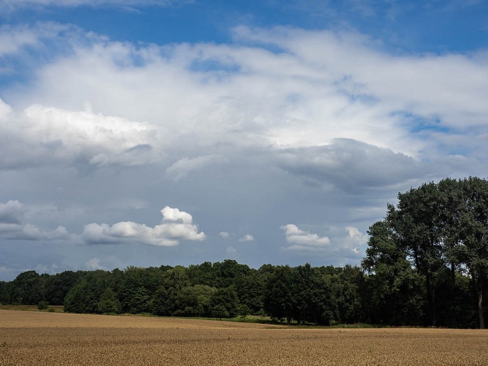 Olympus RAW in Lightroom entwickelt.